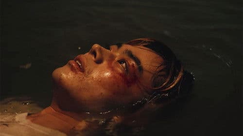 タロウのバカ Bild 4