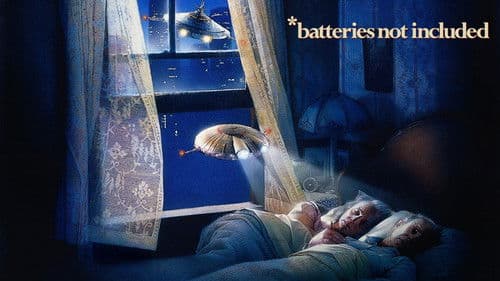 Das Wunder in der 8. Straße Bild 2