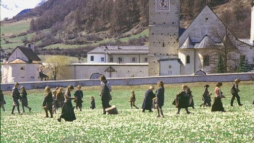 Pestalozzis Berg Bild 2