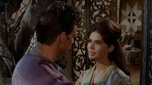 Der Gauner von Bagdad Bild 8