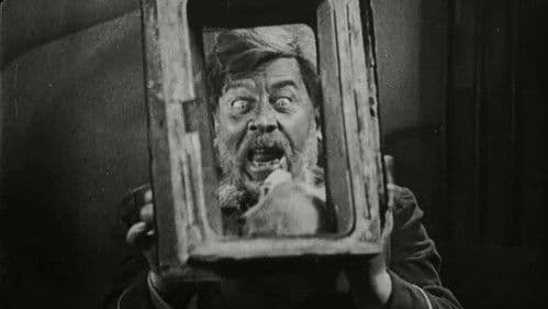 Schwein bleibt Schwein Bild 2