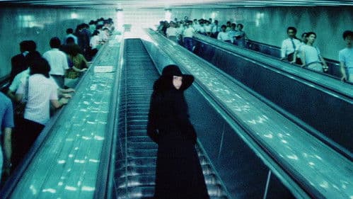 Sasori – Scorpion Bild 1