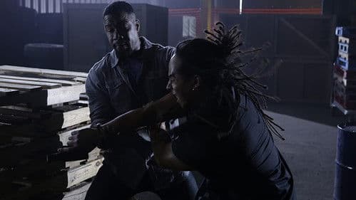 Falcon Rising Bild 6