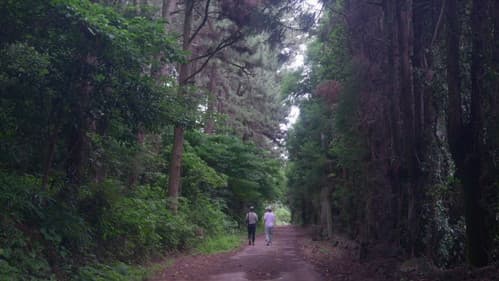 제주의 시간 Bild 1