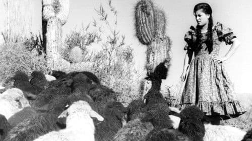 Mire que es lindo mi país Bild 1