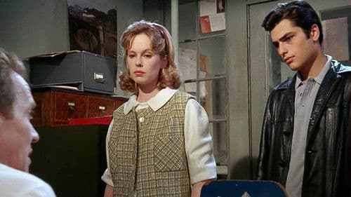 Up the Down Staircase Bild 1