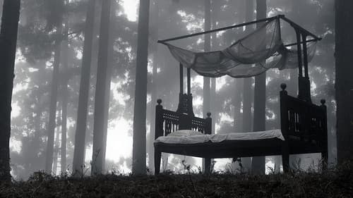 আসা যাওয়ার মাঝে Bild 3