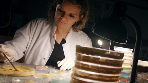 Der Blob - Schleimiger Superorganismus Bild 1