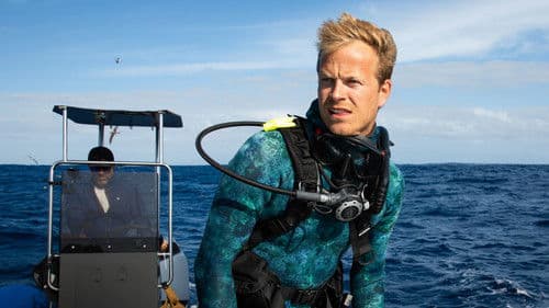 Delfine hautnah mit Bertie Gregory Bild 3