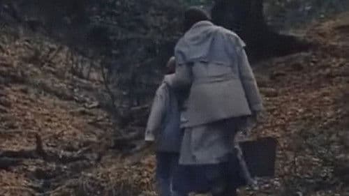 Разговор с птици Bild 2