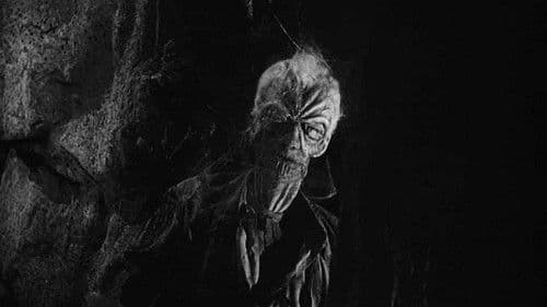 Die Rache der schwarzen Spinne Bild 5