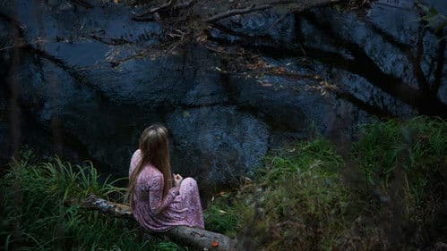 Безумные подражатели Bild 4