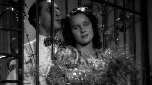 Il trovatello Bild 4