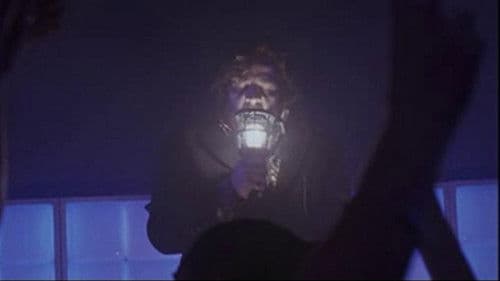 Bunker Paradise Bild 3