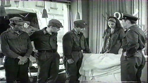 Patyolat akció Bild 1