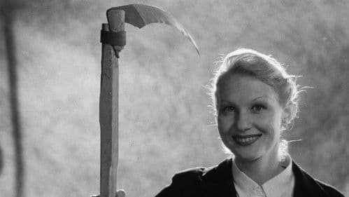 Настройщик Bild 5