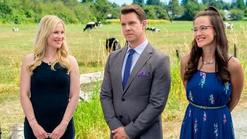 Signed, Sealed, Delivered: Home Again Bild 4