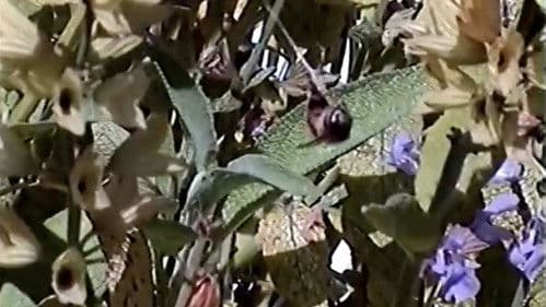 Documenting Selfie Intern #1 Bild 1