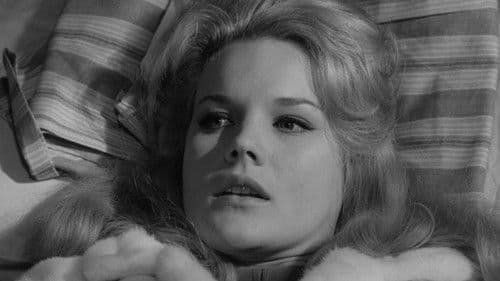 Endstation 13 Sahara Bild 2