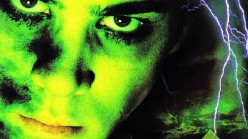 Frankenstein lebt Bild 3