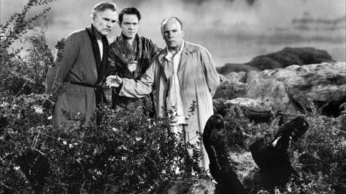 Das letzte Wochenende Bild 1