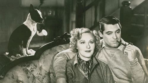 When You're in Love Bild 1