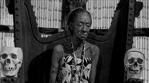 Der Fluch der Urwaldhexe Bild 1