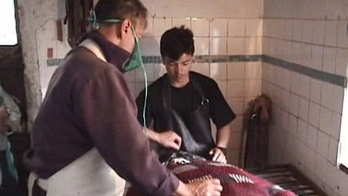 Orozco el embalsamador Bild 2