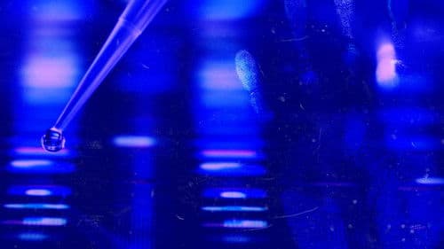 Forensic Files II Bild 5