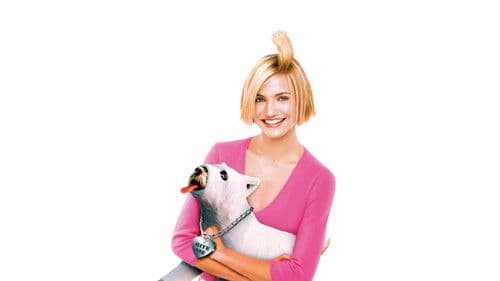 Verrückt nach Mary Bild 8