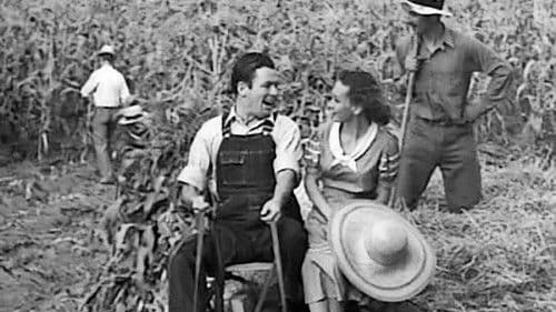 Unser tägliches Brot Bild 7