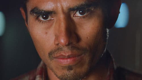 Les oiseaux ivres Bild 3