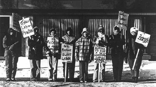 The Willmar 8 Bild 1