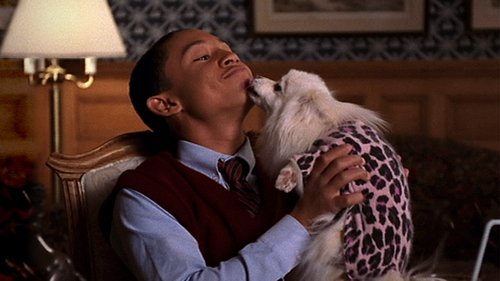 Herrchen wider Willen Bild 1