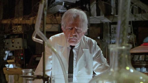 Die Rückkehr der Killertomaten Bild 6