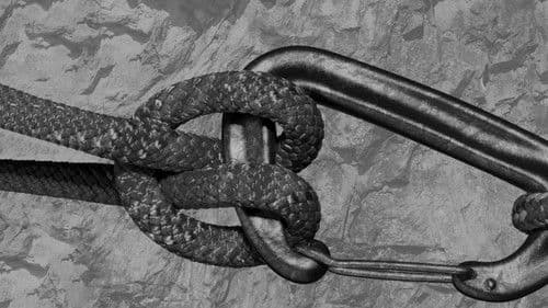 Angekettet - Ein Bund fürs Überleben Bild 4