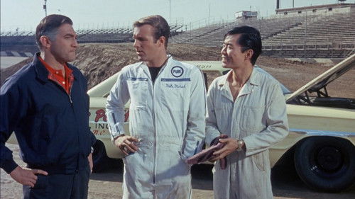 Rote Linie 7000 Bild 5