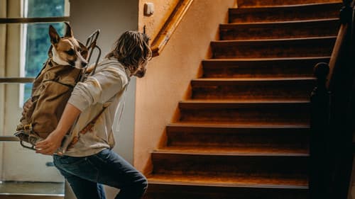 Gump – jsme dvojka Bild 3