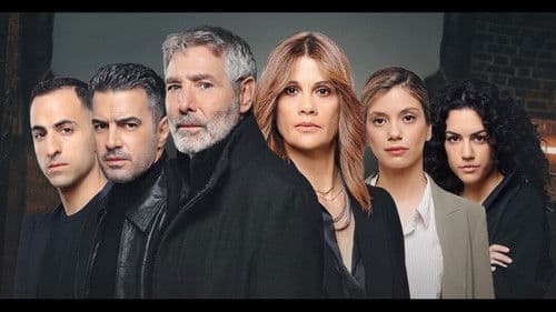 Το Δίχτυ Bild 6