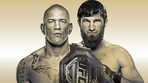 UFC 313: Pereira vs. Ankalaev Bild 4