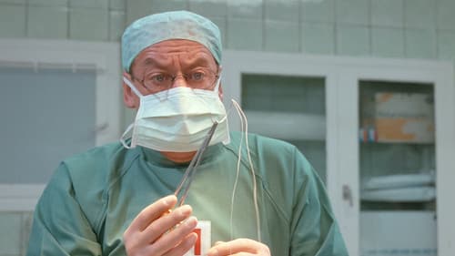 Bei mir liegen Sie richtig Bild 4