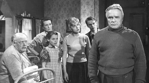 Pinsiön parooni Bild 1