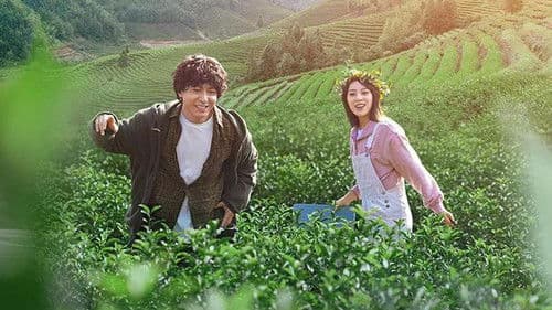 金山上的树叶 Bild 1