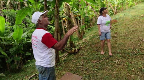 Guardiões da Terra Bild 2