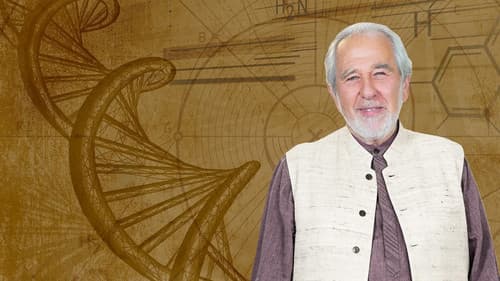 Inner Evolution Bild 1