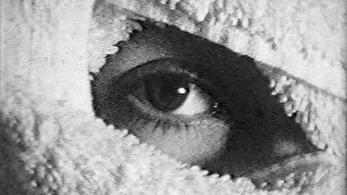 Pneurosis (en el baño) Bild 1