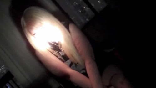 The Angela Chapters Bild 4