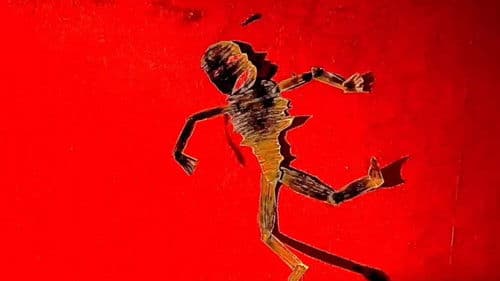 Sokoto in the CannibalCafe Bild 5