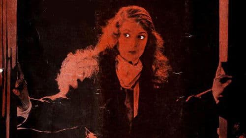 The Silk Lined Burglar Bild 1