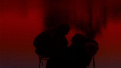 O Território Bild 2